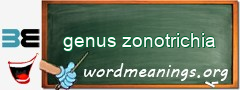 WordMeaning blackboard for genus zonotrichia